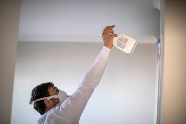 Best Mold Removal Specialists  in Stanfield, NC