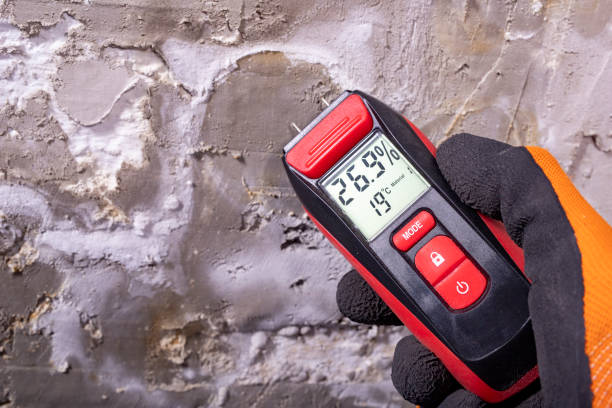 Best Home Mold Removal  in Stanfield, NC