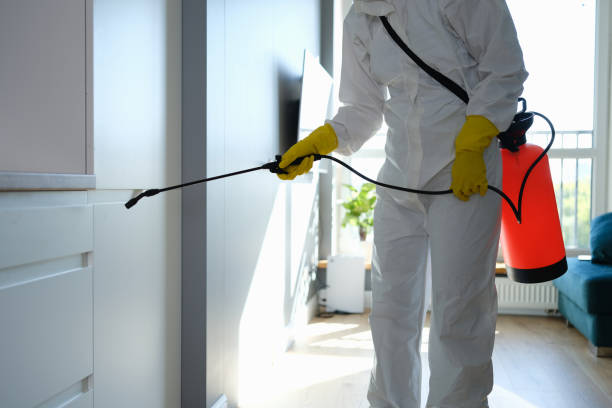 Best Office Mold Removal Services  in Stanfield, NC